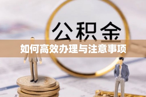 牡丹如何高效办理与注意事项