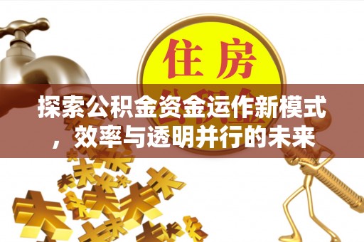 牡丹探索公积金资金运作新模式，效率与透明并行的未来