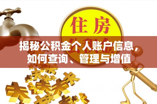 牡丹揭秘公积金个人账户信息，如何查询、管理与增值