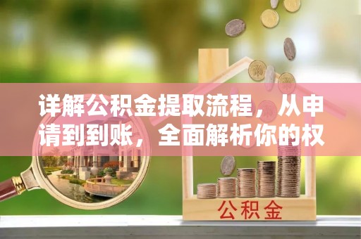 牡丹详解公积金提取流程，从申请到到账，全面解析你的权益与操作步骤