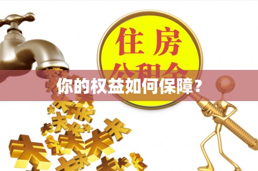 牡丹你的权益如何保障？