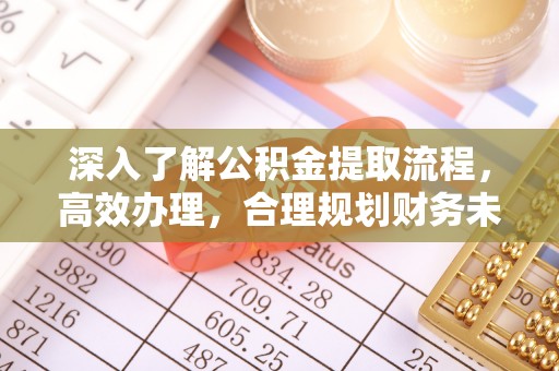 牡丹深入了解公积金提取流程，高效办理，合理规划财务未来