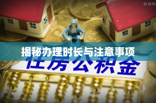 牡丹揭秘办理时长与注意事项