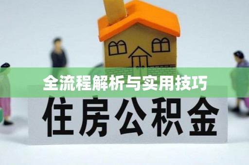 牡丹全流程解析与实用技巧