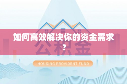 牡丹如何高效解决你的资金需求？
