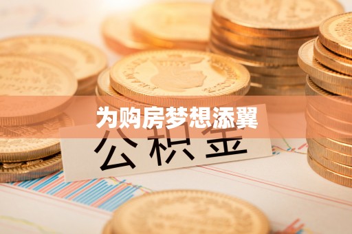 牡丹为购房梦想添翼