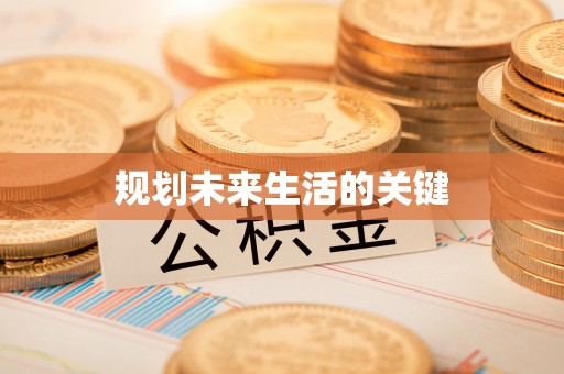 牡丹规划未来生活的关键