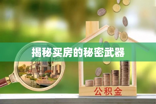 牡丹揭秘买房的秘密武器