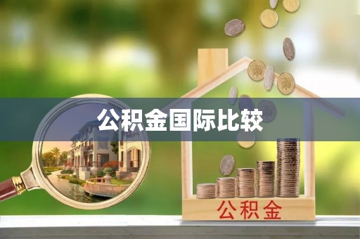 牡丹公积金国际比较
