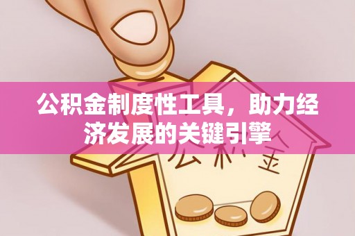 牡丹公积金制度性工具，助力经济发展的关键引擎