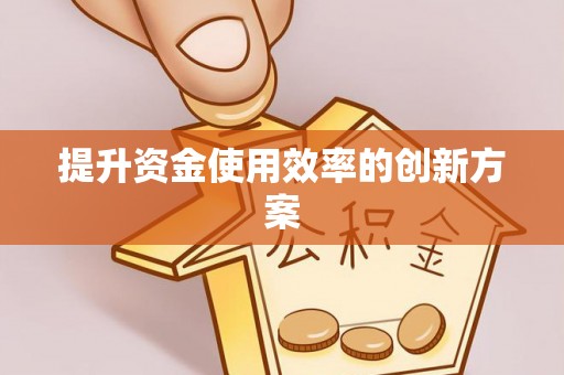 牡丹提升资金使用效率的创新方案