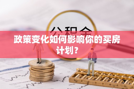 牡丹政策变化如何影响你的买房计划？