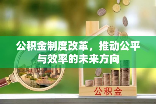 牡丹公积金制度改革，推动公平与效率的未来方向
