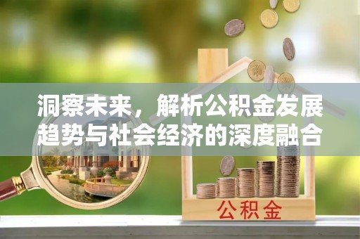 牡丹洞察未来，解析公积金发展趋势与社会经济的深度融合