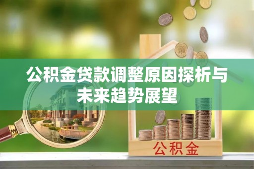 牡丹公积金贷款调整原因探析与未来趋势展望