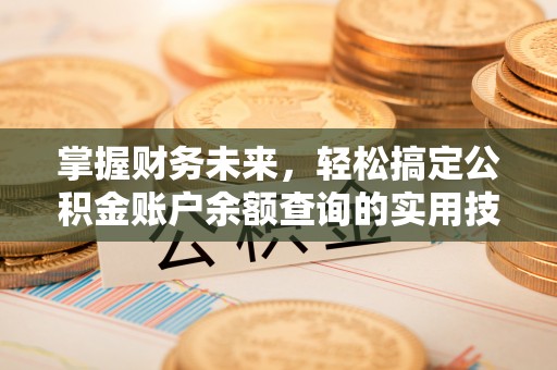 牡丹掌握财务未来，轻松搞定公积金账户余额查询的实用技巧