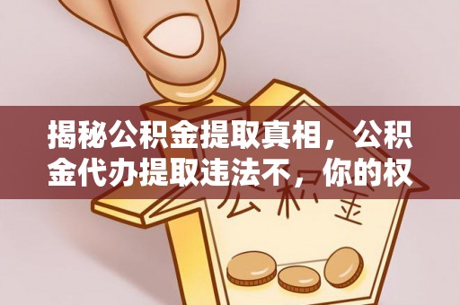 牡丹揭秘公积金提取真相，公积金代办提取违法不，你的权益如何保障？