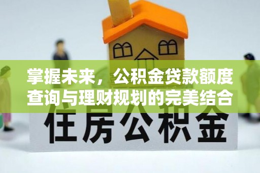 牡丹掌握未来，公积金贷款额度查询与理财规划的完美结合