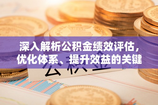 牡丹深入解析公积金绩效评估，优化体系、提升效益的关键路径
