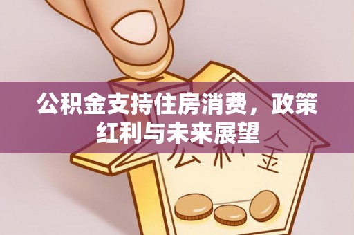牡丹公积金支持住房消费，政策红利与未来展望