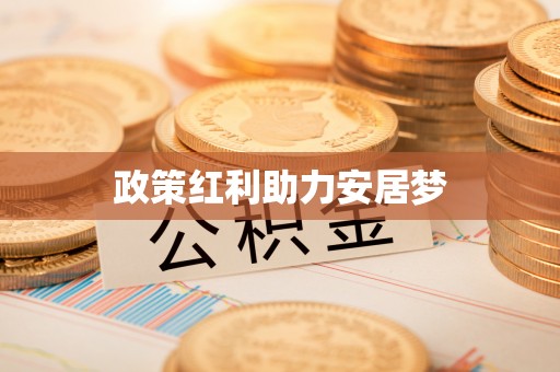 牡丹政策红利助力安居梦