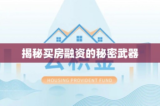 牡丹揭秘买房融资的秘密武器