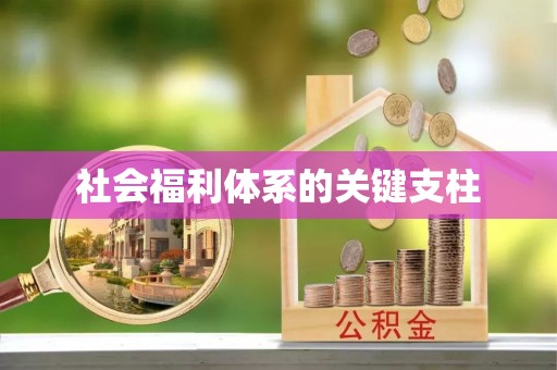 牡丹社会福利体系的关键支柱
